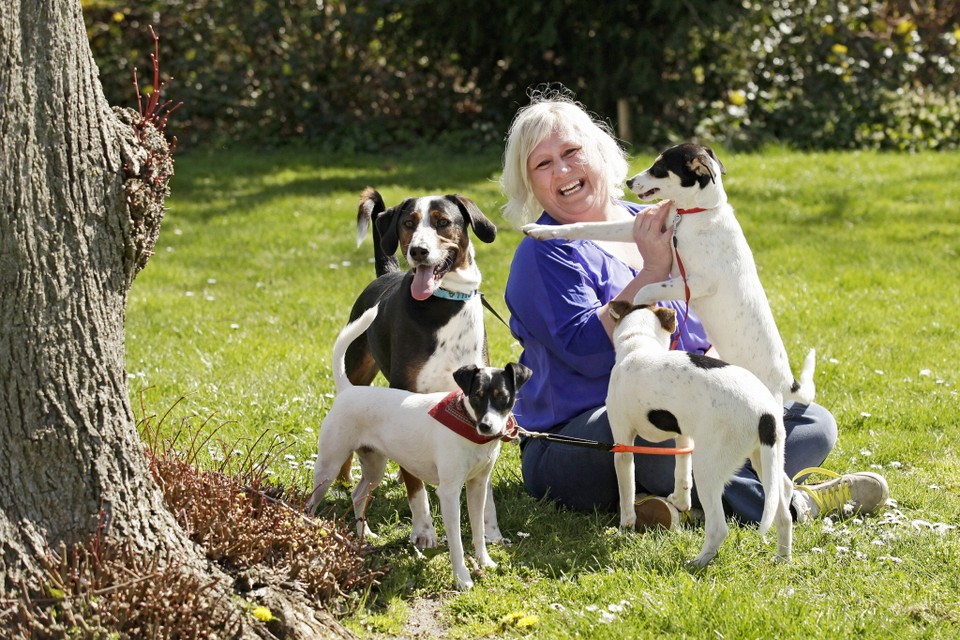 Sandra Eyer met haar honden (links) en twee Spaanse opvanghondjes Fi en Babu, die nog een nieuw baasje zoeken.