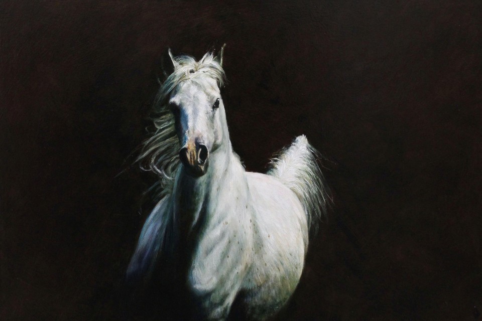 Paardenkunst is een niche. Werk van Mirelle Vegers.