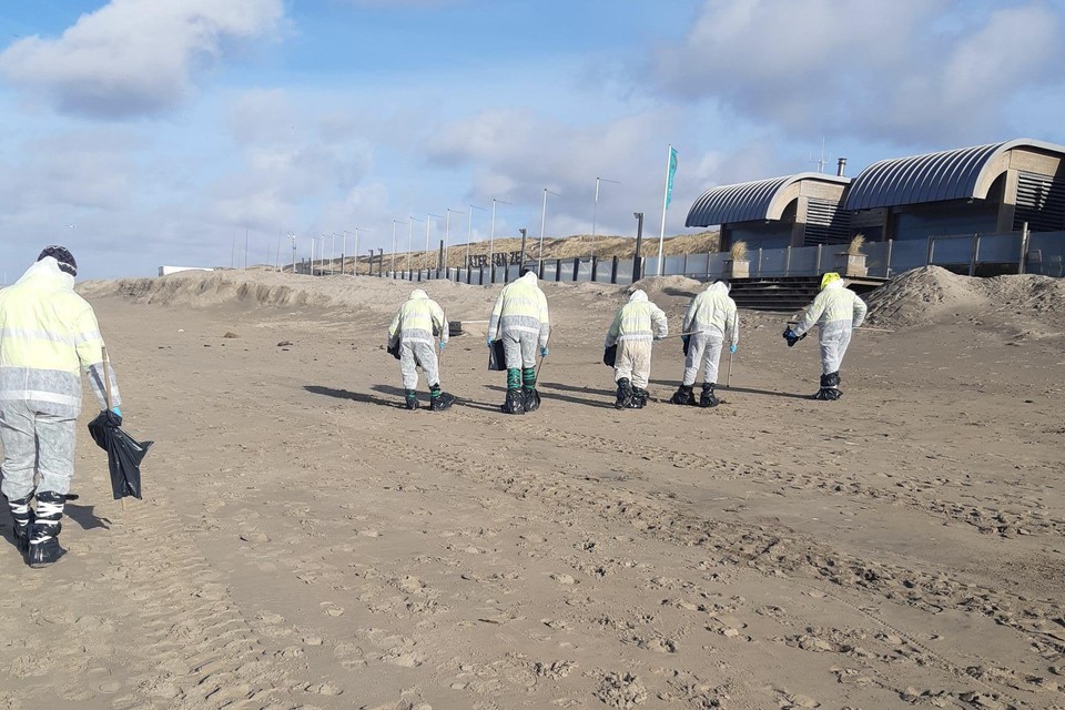 Schoonmaakploeg in witte pakken verwijdert de olieresten op het Bloemendaalse strand.