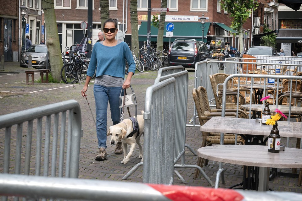 Pauline van Heuven met haar geleidehond Irsa staan sinds corona dagelijks voor nieuwe hindernissen.