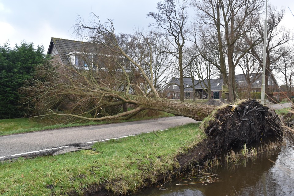 Stormschade aan de Zuid-Schalkwijkerweg.