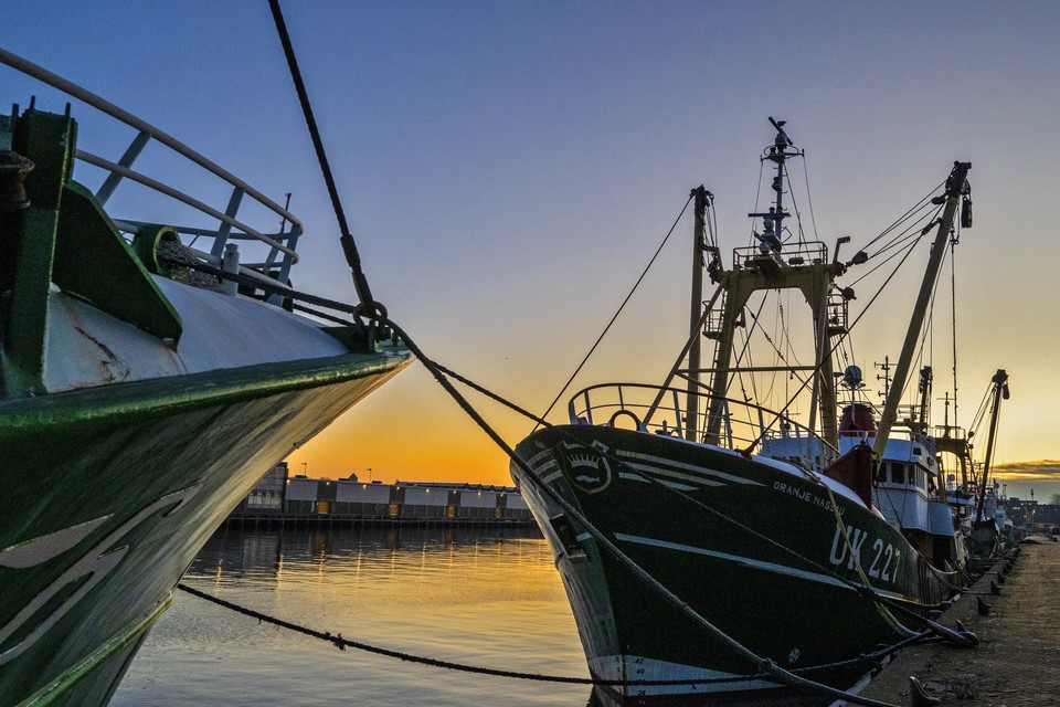 Barre tijden voor de Nederlandse visserij. Wetenschappers doen onderzoek naar de gevolgen.