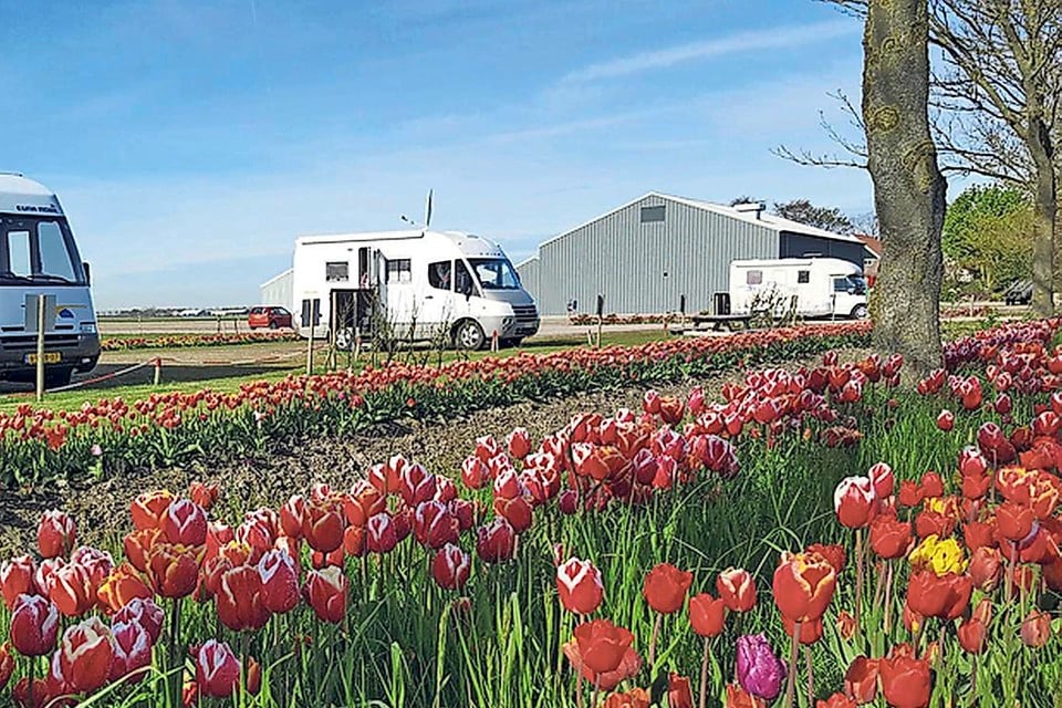 De Tulpenroute rond het IJsselmeer gaat langs een aantal camperplaatsen.