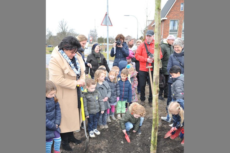 Eerder werd al een vredesboom in onder andere Uitgeest geplant.