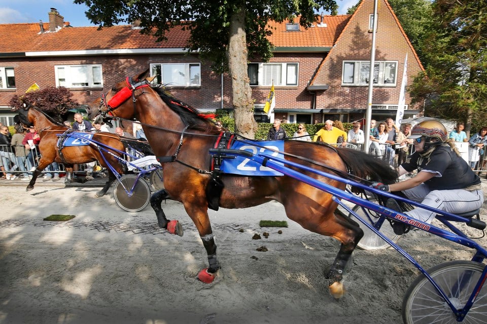 Het Dorpsfeest draait om de kortebaandraverij, traditioneel op donderdag. In 2019 was het Nederlands kampioenschap in Santpoort-Noord.