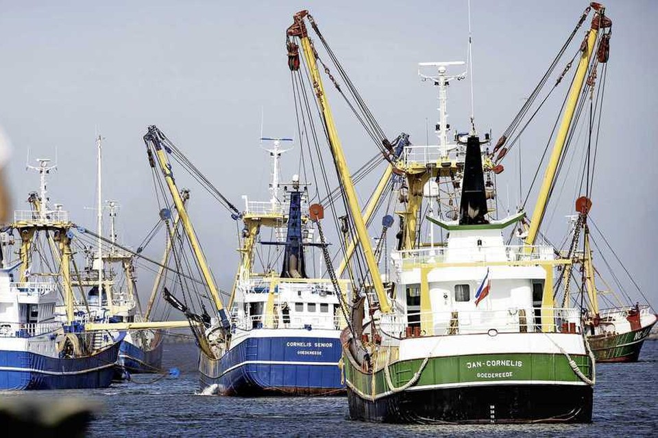 Vissers blokkeren de haven van IJmuiden.