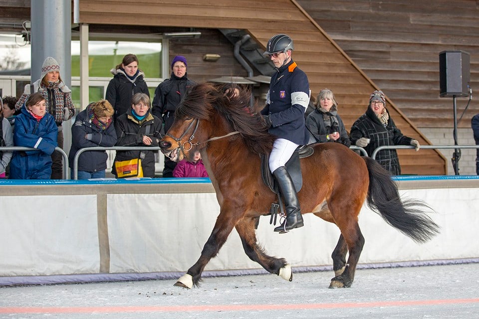 Paarden nemen bezit van Haarlemse ijsbaan tijdens Horses on Ice. Foto: Michel van Bergen