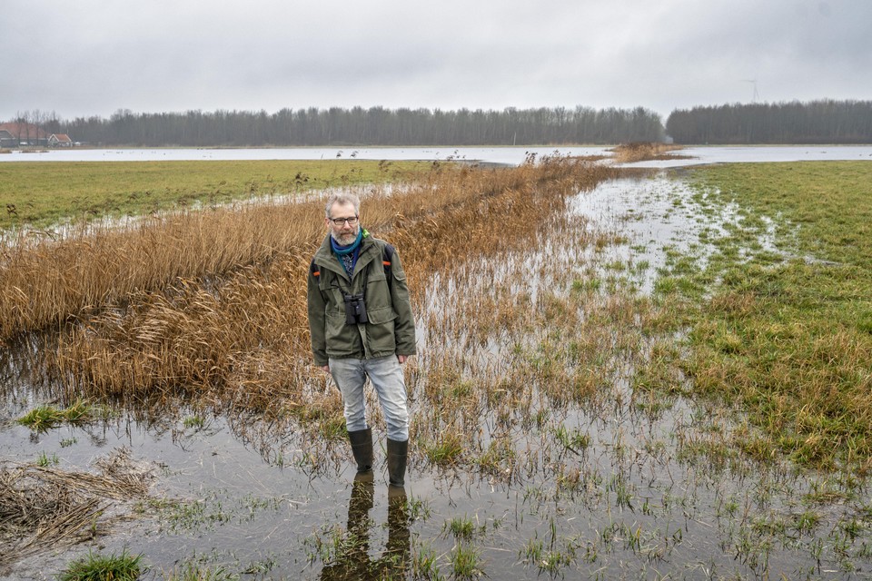 Arnout-Jan Rossenaar, ecoloog van Staatsbosbeheer, bij het nieuwe natuurgebied Houtrakkerbeemden.