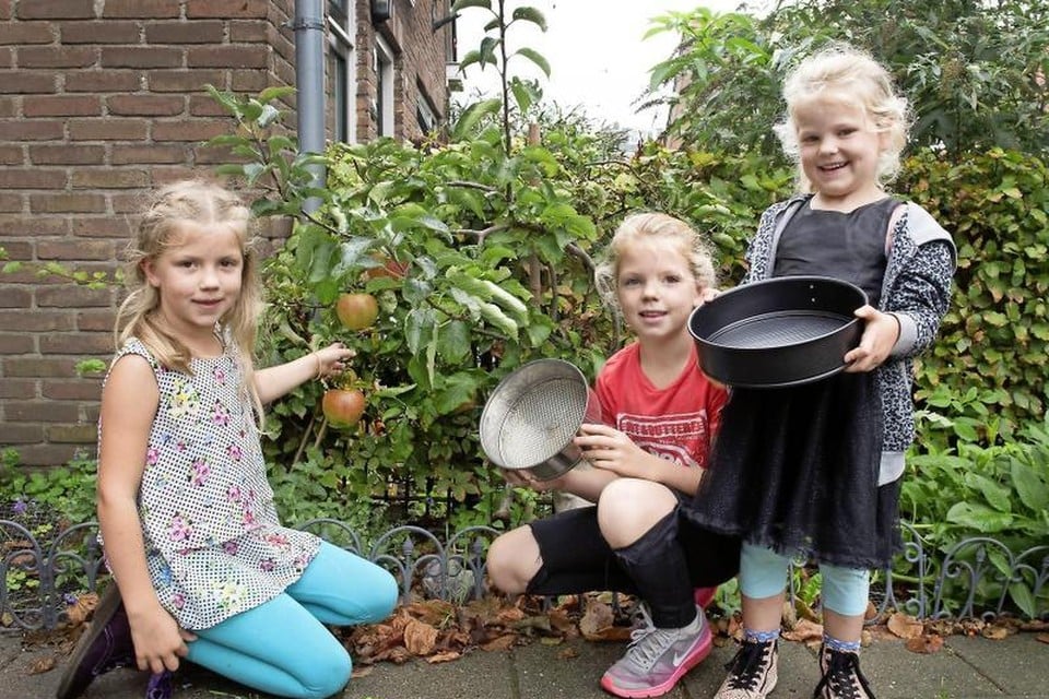Kate (links), Sarah (midden) en Lauren maken appeltaart van de eigen appels.