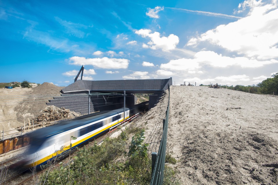 Zandvoort - Opening Natuurbrug Zandvoort