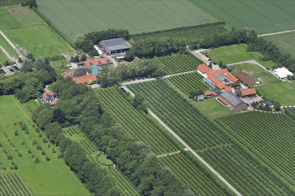 Landgoed De Olmenhorst kan een belangrijke rol spelen bij het groen dat noodzakelijk is als Lisserbroek verdriedubbelt.