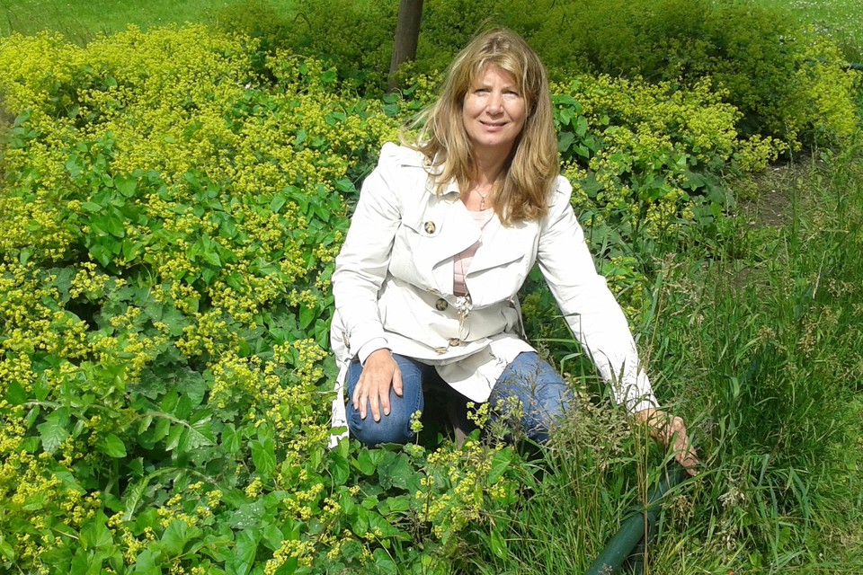 Ingrid Sjerps laat thee uit eigen tuin proeven op de duurzame markt.