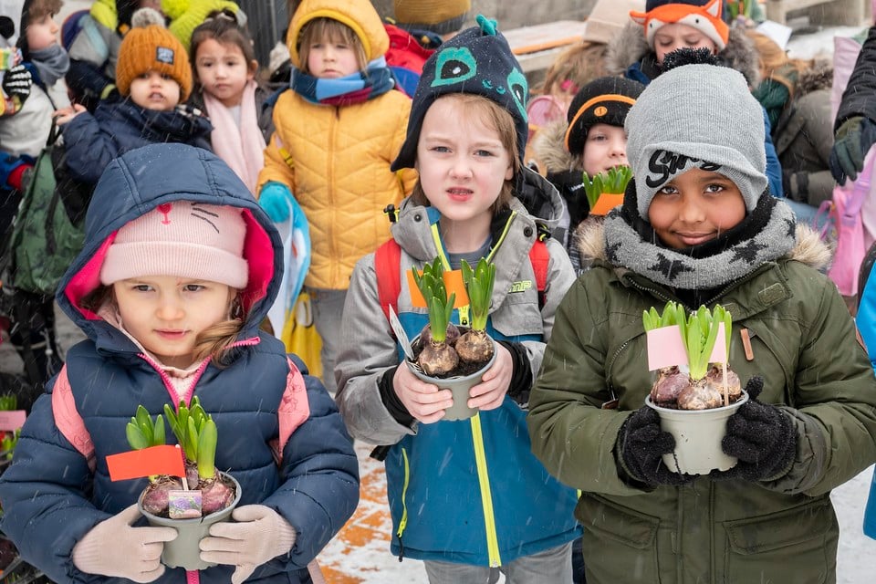 Na afloop van de eerste schooldag sinds bijna acht weken krijgen alle kinderen van de Bavoschool een potje met bloembollen mee naar huis.