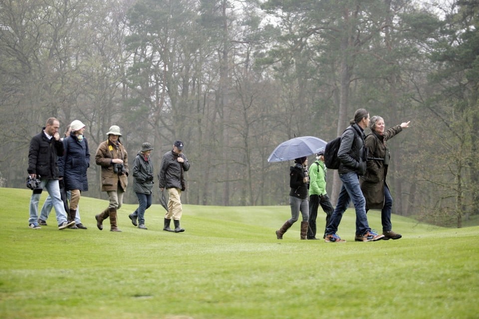 Golfers genieten van de natuur op de schitterende baan van de Hilversumsche. foto studio kastermans/ronald smeenk
